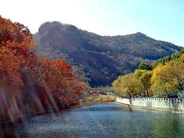 管家婆黑白马报图库，泛目录大神